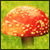 zphgkzdavqf